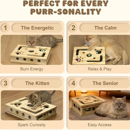 LIVANIRA Universal Wooden Cat Scratch & File Enrichment Box - Claw Care Puzzle Toy with Replaceable Filing Pad, Large Scratch Area, Treat Openings, 3 Toy Balls for Indoor Cats Familyfun